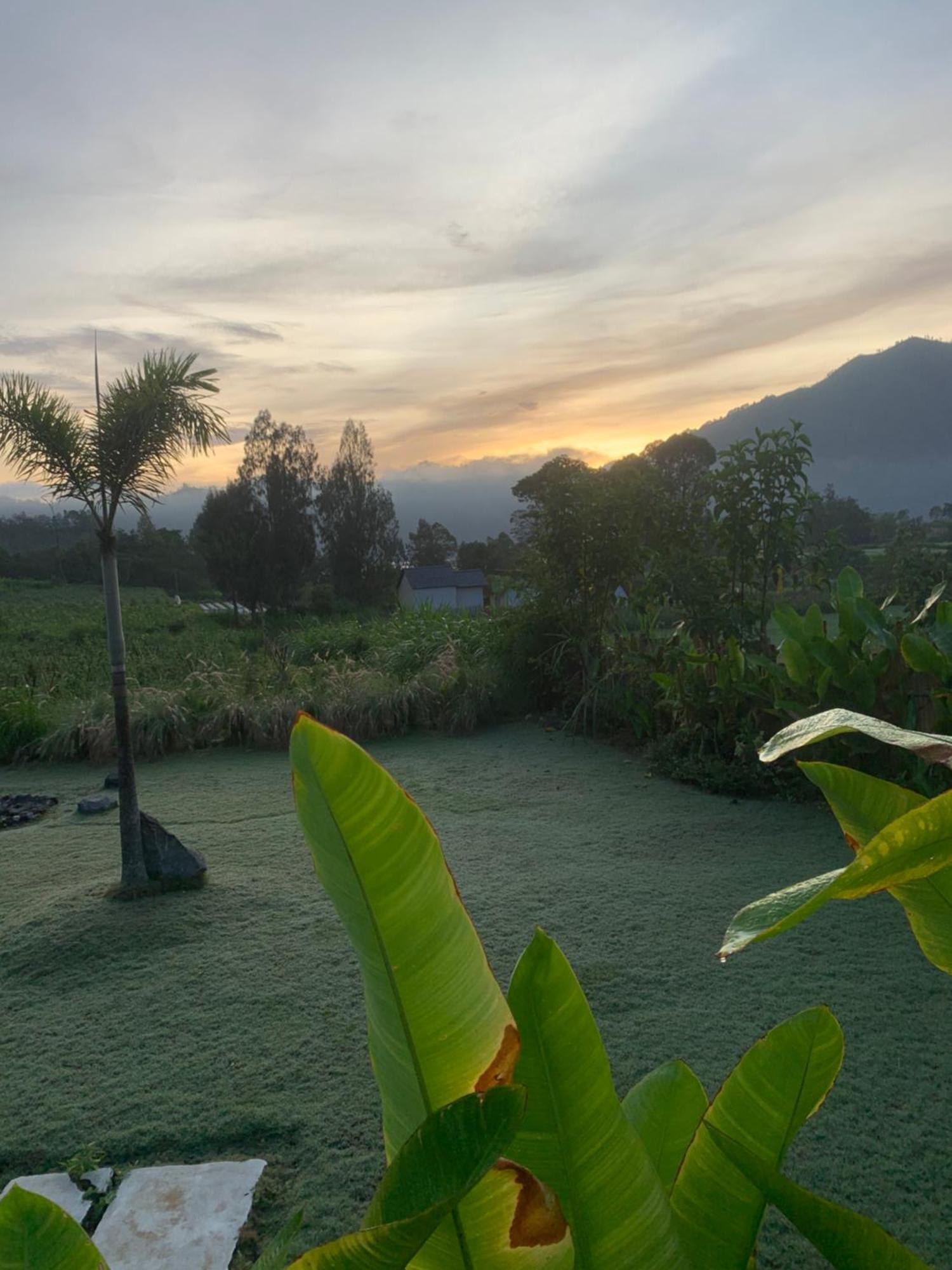 Bali Lesung Hotel Kintamani Екстериор снимка